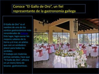 Conoce “El Gallo de Oro”, un fiel
         representante de la gastronomía gallega


El Gallo de Oro” es el
nombre de uno de los
centros gastronómicos más
renombrados de Galicia.
Este lugar, logra aunar los
mejores sabores de la
tierra y el mar, en platos
que son un verdadero
placer para todos los
sentidos.
El trabajo con materias
primas variadas, hace que
“El Gallo de Oro”, ofrezca
en un menú lleno de
tesoros gastronomicos.
 