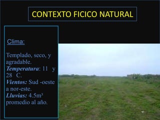 CONTEXTO FICICO NATURAL


Clima:

Templado, seco, y
agradable.
Temperatura: 11 y
28 C.
Vientos: Sud -oeste
a nor-este.
Lluvias: 4.5m³
promedio al año.
 