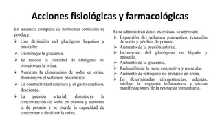 Acciones fisiológicas y farmacológicas
En ausencia completa de hormonas corticales se
produce:
 Una depleción del glucógeno hepático y
muscular.
 Disminuye la glucemia.
 Se reduce la cantidad de nitrógeno no
proteico en la orina.
 Aumenta la eliminación de sodio en orina,
disminuyen el volumen plasmático.
 La contractilidad cardíaca y el gasto cardíaco,
desciende.
 La presión arterial, disminuye la
concentración de sodio en plasma y aumenta
la de potasio y se pierde la capacidad de
concentrar o de diluir la orina.
Si se administran dosis excesivas, se aprecian:
 Expansión del volumen plasmático, retención
de sodio y pérdida de potasio.
 Aumento de la presión arterial.
 Incremento del glucógeno en hígado y
músculo.
 Aumento de la glucemia.
 Reducción de la masa conjuntiva y muscular.
 Aumento de nitrógeno no proteico en orina.
 En determinadas circunstancias, además,
inhiben la respuesta inflamatoria y ciertas
manifestaciones de la respuesta inmunitaria.
 