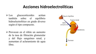 Acciones hidroelectrolíticas
 Los glucocorticoides actúan
también sobre el equilibrio
hidroelectrolítico en grado diverso
según el tipo compuesto.
 Provocan en el riñón un aumento
de la tasa de filtración glomerular
y del flujo sanguíneo renal, y
aumentan el aclaramiento de agua
libre.
 