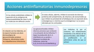 Acciones antiinflamatorias inmunodepresoras
En las células endoteliales inhiben la
expresión de los antígenos de
histocompatibilidad de clase II y de
las moléculas de adhesión celular.
En estas células, además, inhiben la secreción de diversas
proteínas del complemento, de citocinas y de eicosanoides ya
que inhiben la actividad de la fosfolipasa A2 y la expresión de la
ciclooxigenasa 2, mientras que la cicloxigenasa 1 se ve poco
afectada por los corticoides.
En relación con los linfocitos, en
la especie humana una dosis
farmacológica de
glucocorticoides produce
linfopenia, afectándose todas
las subpoblaciones linfocitarias.
Los glucocorticoides inhiben
diversos procesos que conducen
a la activación de los linfocitos T:
bajan la producción de IL-2,
interfieren en su acción y
bloquean la síntesis de
linfocinas, como las
IL-3, IL-4 e IL-6 o el interferón g.
Los linfocitos B, por el
contrario, son relativamente
resistentes a los efectos de los
glucocorticoides; sólo inhiben
su proliferación si se
administran antes de que se
activen
 