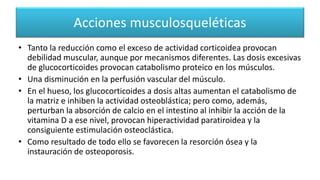 Acciones musculosqueléticas
• Tanto la reducción como el exceso de actividad corticoidea provocan
debilidad muscular, aunque por mecanismos diferentes. Las dosis excesivas
de glucocorticoides provocan catabolismo proteico en los músculos.
• Una disminución en la perfusión vascular del músculo.
• En el hueso, los glucocorticoides a dosis altas aumentan el catabolismo de
la matriz e inhiben la actividad osteoblástica; pero como, además,
perturban la absorción de calcio en el intestino al inhibir la acción de la
vitamina D a ese nivel, provocan hiperactividad paratiroidea y la
consiguiente estimulación osteoclástica.
• Como resultado de todo ello se favorecen la resorción ósea y la
instauración de osteoporosis.
 