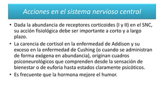 Acciones en el sistema nervioso central
• Dada la abundancia de receptores corticoides (I y II) en el SNC,
su acción fisiológica debe ser importante a corto y a largo
plazo.
• La carencia de cortisol en la enfermedad de Addison y su
exceso en la enfermedad de Cushing (o cuando se administran
de forma exógena en abundancia), originan cuadros
psiconeurológicos que comprenden desde la sensación de
bienestar o de euforia hasta estados claramente psicóticos.
• Es frecuente que la hormona mejore el humor.
 