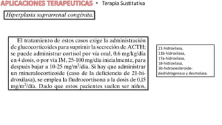 • Terapia Sustitutiva
21-hidroxilasa,
11b-hidroxilasa,
17a-hidroxilasa,
18-hidroxilasa,
3b-hidroxiesteroide-
deshidrogenasa y desmolasa.
 