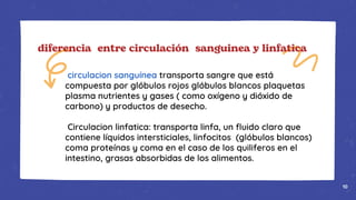 circulacion sanguínea transporta sangre que está
compuesta por glóbulos rojos glóbulos blancos plaquetas
plasma nutrientes y gases ( como oxígeno y dióxido de
carbono) y productos de desecho.
Circulacion linfatica: transporta linfa, un fluido claro que
contiene líquidos intersticiales, linfocitos (glóbulos blancos)
coma proteínas y coma en el caso de los quiliferos en el
intestino, grasas absorbidas de los alimentos.
diferencia entre circulación sanguinea y linfatica
10
 