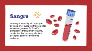 La sangre es un líquido vital que
circula por el cuerpo a través de los
vasos sanguíneos. Su función
principal es transportar oxígeno,
nutrientes, hormonas y eliminar
desechos como el dióxido de
carbono.
Sangre
4
 