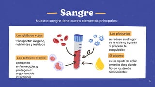 Sangre
Nuestra sangre tiene cuatro elementos principales:
transportan oxígeno,
nutrientes y residuos
combaten
enfermedades y
protegen al
organismo de
infecciones
es un líquido de color
amarillo claro donde
flotan los demás
componentes
se reúnen en el lugar
de la lesión y ayudan
al proceso de
coagulación
Los glóbulos rojos
Los glóbulos blancos
Las plaquetas
El plasma
5
 
