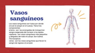 Vasos
sanguíneos
Los vasos sanguíneos son tubos por donde
circula la sangre en el cuerpo. Tiene tres
componentes:
arteria : son las encargadas de transportan
sangre oxigenada del corazon a los tejidos.
capilares : son vasos sanguíneos más pequeños
y delgados del todo el cuerpo. Son tubitos
microscopicos
venas : son los vasos sanguíneos que llevan la
sangre de regreso al corazón
6
 