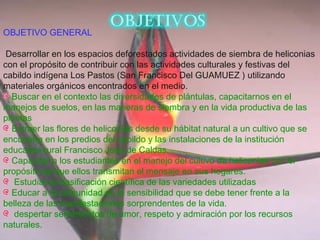 OBJETIVO GENERAL
Desarrollar en los espacios deforestados actividades de siembra de heliconias
con el propósito de contribuir con las actividades culturales y festivas del
cabildo indígena Los Pastos (San Francisco Del GUAMUEZ ) utilizando
materiales orgánicos encontrados en el medio.
Buscar en el contexto las diversidades de plántulas, capacitarnos en el
manejos de suelos, en las maneras de siembra y en la vida productiva de las
plantas
Extraer las flores de heliconias desde su hábitat natural a un cultivo que se
encuentra en los predios del cabildo y las instalaciones de la institución
educativa rural Francisco José de Caldas.
Capacitar a los estudiantes en el manejo del cultivo de heliconias con el
propósito de que ellos transmitan el mensaje en sus hogares.
Estudiar la clasificación científica de las variedades utilizadas
Educar a la comunidad en la sensibilidad que se debe tener frente a la
belleza de las manifestaciones sorprendentes de la vida.
despertar sentimientos de amor, respeto y admiración por los recursos
naturales.
 