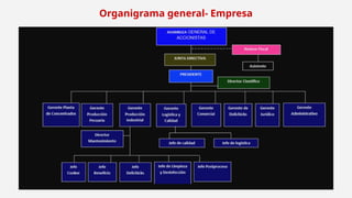 Organigrama general- Empresa
 