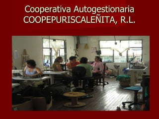 Cooperativa Autogestionaria COOPEPURISCALEÑITA, R.L. 