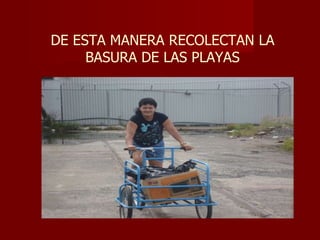DE ESTA MANERA RECOLECTAN LA BASURA DE LAS PLAYAS 