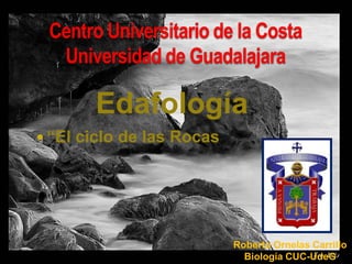 Centro Universitario de la CostaUniversidad de Guadalajara Edafología ,[object Object],Roberto Ornelas Carrillo Biología CUC-UdeG 