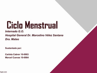 Ciclo MenstrualInternado G.O.
Hospital General Dr. Marcelino Vélez Santana
Dra. Mateo
Sustentado por:
Carlota Cabrer 10-0903
Marcel Cuevas 10-0984
 