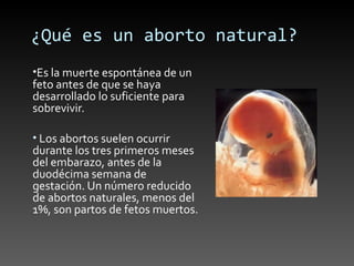 ¿Qué es un aborto natural?
•Es la muerte espontánea de un
feto antes de que se haya
desarrollado lo suficiente para
sobrevivir.

• Los abortos suelen ocurrir
durante los tres primeros meses
del embarazo, antes de la
duodécima semana de
gestación. Un número reducido
de abortos naturales, menos del
1%, son partos de fetos muertos.
 