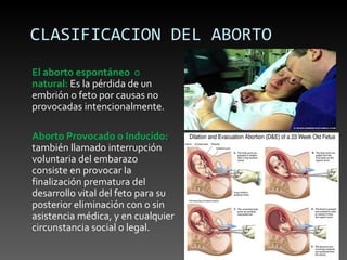 CLASIFICACION DEL ABORTO
El aborto espontáneo o
natural: Es la pérdida de un
embrión o feto por causas no
provocadas intencionalmente.

Aborto Provocado o Inducido:
también llamado interrupción
voluntaria del embarazo
consiste en provocar la
finalización prematura del
desarrollo vital del feto para su
posterior eliminación con o sin
asistencia médica, y en cualquier
circunstancia social o legal.
 