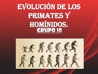 Evolución de los
  primates y
   homínidos.
    Grupo 10
 