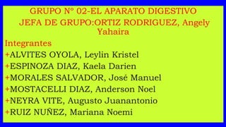 GRUPO Nº 02-EL APARATO DIGESTIVO
JEFA DE GRUPO:ORTIZ RODRIGUEZ, Angely
Yahaira
Integrantes
+ALVITES OYOLA, Leylin Kristel
+ESPINOZA DIAZ, Kaela Darien
+MORALES SALVADOR, José Manuel
+MOSTACELLI DIAZ, Anderson Noel
+NEYRA VITE, Augusto Juanantonio
+RUIZ NUÑEZ, Mariana Noemi
 