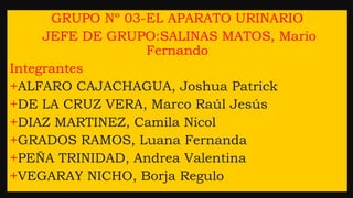 GRUPO Nº 03-EL APARATO URINARIO
JEFE DE GRUPO:SALINAS MATOS, Mario
Fernando
Integrantes
+ALFARO CAJACHAGUA, Joshua Patrick
+DE LA CRUZ VERA, Marco Raúl Jesús
+DIAZ MARTINEZ, Camila Nicol
+GRADOS RAMOS, Luana Fernanda
+PEÑA TRINIDAD, Andrea Valentina
+VEGARAY NICHO, Borja Regulo
 