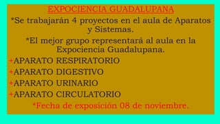 EXPOCIENCIA GUADALUPANA
*Se trabajarán 4 proyectos en el aula de Aparatos
y Sistemas.
*El mejor grupo representará al aula en la
Expociencia Guadalupana.
+APARATO RESPIRATORIO
+APARATO DIGESTIVO
+APARATO URINARIO
+APARATO CIRCULATORIO
*Fecha de exposición 08 de noviembre.
 