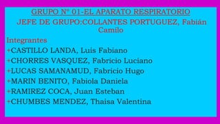GRUPO Nº 01-EL APARATO RESPIRATORIO
JEFE DE GRUPO:COLLANTES PORTUGUEZ, Fabián
Camilo
Integrantes
+CASTILLO LANDA, Luis Fabiano
+CHORRES VASQUEZ, Fabricio Luciano
+LUCAS SAMANAMUD, Fabricio Hugo
+MARIN BENITO, Fabiola Daniela
+RAMIREZ COCA, Juan Esteban
+CHUMBES MENDEZ, Thaisa Valentina
 
