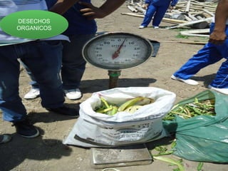 DESECHOS
ORGANICOS
 
