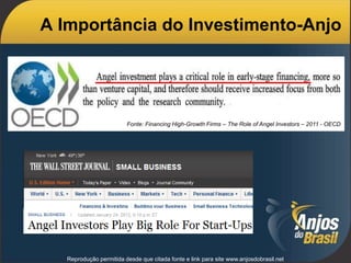 A Importância do Investimento-Anjo
Reprodução permitida desde que citada fonte e link para site www.anjosdobrasil.net
Fonte: Financing High-Growth Firms – The Role of Angel Investors – 2011 - OECD
 