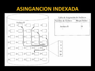 ASINGANCION INDEXADA
 