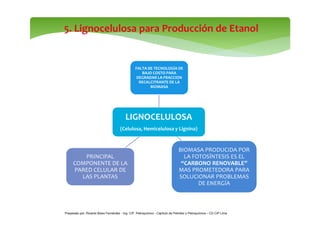 5. Lignocelulosa para Producción de Etanol 
FALTA DE TECNOLOGÍA DE 
BAJO COSTO PARA 
DEGRADAR LA FRACCION 
RECALCITRANTE D...