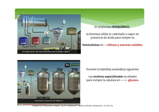 En el proceso BIOQUÍMICO , 
la biomasa sólida es calentado a vapor en 
presencia de ácido para romper la: 
hemicelulosa en...