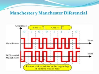 Manchester y Manchester Diferencial