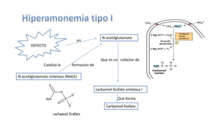 N-acetilglutamato 
carbamoil fosfato sintetasa I 
DEFECTO 
N-acetilglutamato sintetasa (NAGS) 
Carbamoil fosfato 
en 
Que es un cofactor de 
Que forma 
Cataliza la formacion de 
 