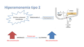 Relacionado al 
Ornitina carbamoil Cromosoma X 
transferasa 
AMONIACO GLUTAMINA 
Alta concentración 
Provoca que 
Alta concentración 
 