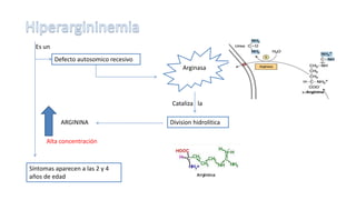 Arginasa 
Defecto autosomico recesivo 
ARGININA Division hidrolitica 
Es un 
Alta concentración 
Síntomas aparecen a las 2 y 4 
años de edad 
Cataliza la 
 