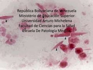 República Bolivariana de VenezuelaMinisterio de Educación SuperiorUniversidad Arturo MichelenaFacultad de Ciencias para la SaludEscuela De Patología Medica. 