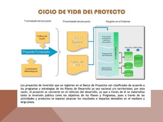 CICLO DE VIDA DEL PROYECTO
 