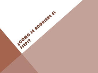 ¿C
Ó
M
O
SE
AD
Q
UIERE
EL
SSEPI?
 