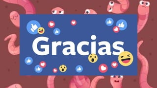 reproduccion de gusanos