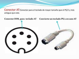 Conector AT:Conectorpara el teclado de mayor tamaño que el PS/2 y más antiguo que este.Conector DIM, para  teclado ATConvierte un teclado PS/2 en uno AT 