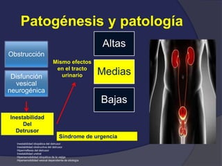 Patogénesis y patología
Obstrucción
Disfunción
vesical
neurogénica
Mismo efectos
en el tracto
urinario
Altas
Medias
Bajas
Inestabilidad
Del
Detrusor
Síndrome de urgencia
Inestabilidad idiopática del detrusor
Inestabilidad obstructiva del detrusor
Hiperrreflexia del detrusor
Inestabilidad uretral
Hipersensibilidad idiopática de la vejiga
Hipersensibilidad vesical dependiente de etiología
 