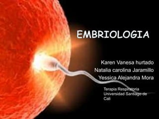 embriologia primera y segunda semana de gestacion