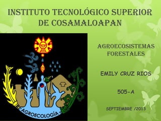 Instituto tecnológico superior
de Cosamaloapan
AGROECOSISTEMAS
FORESTALES
EMILY CRUZ RIOS
505-A
SEPTIEMBRE /2013
 