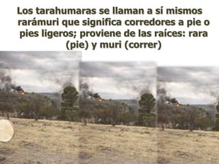 Los tarahumaras se llaman a sí mismos
rarámuri que significa corredores a pie o
pies ligeros; proviene de las raíces: rara
           (pie) y muri (correr)
 