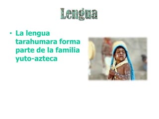 • La lengua
  tarahumara forma
  parte de la familia
  yuto-azteca
 