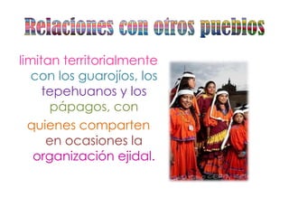 limitan territorialmente
   con los guarojíos, los
     tepehuanos y los
      pápagos, con
  quienes comparten
      en ocasiones la
   organización ejidal.
 