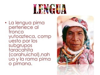 • La lengua pima
  pertenece al
  tronco
  yutoazteca, comp
  uesto por los
  subgrupos
  taracahíta
  (corahuichol),nah
  ua y la rama pima
  o pimana.
 