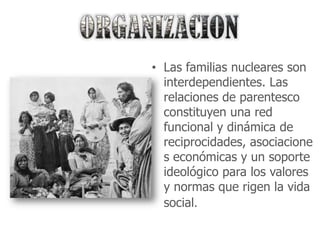 • Las familias nucleares son
  interdependientes. Las
  relaciones de parentesco
  constituyen una red
  funcional y dinámica de
  reciprocidades, asociacione
  s económicas y un soporte
  ideológico para los valores
  y normas que rigen la vida
  social.
 