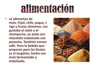 • se alimentan de
  maíz, frijol, chile, papas, t
  rigo y frutas silvestres. Les
  gustaba el atole y el
  champurro, un atole con
  chocolate endulzado con
  panocha. También toman
  café. Pero la bebida que
  preparan para las fiestas
  es el tesgüino, hecho con
  maíz fermentado y
  endulzado.
 
