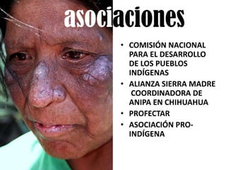 asociaciones
     • COMISIÓN NACIONAL
       PARA EL DESARROLLO
       DE LOS PUEBLOS
       INDÍGENAS
     • ALIANZA SIERRA MADRE
        COORDINADORA DE
       ANIPA EN CHIHUAHUA
     • PROFECTAR
     • ASOCIACIÓN PRO-
       INDÍGENA
 