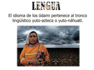 El idioma de los ódami pertenece al tronco
   lingüístico yuto-azteca o yuto-náhuatl.
 